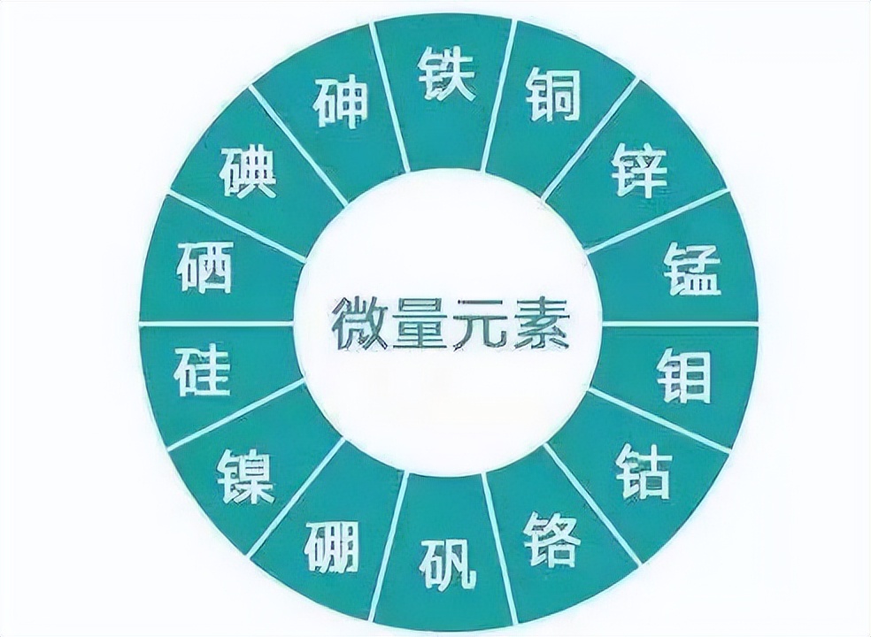婴儿微量元素检查有必要吗
