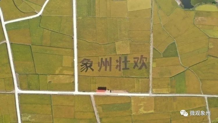 富硒产品直播怎么介绍