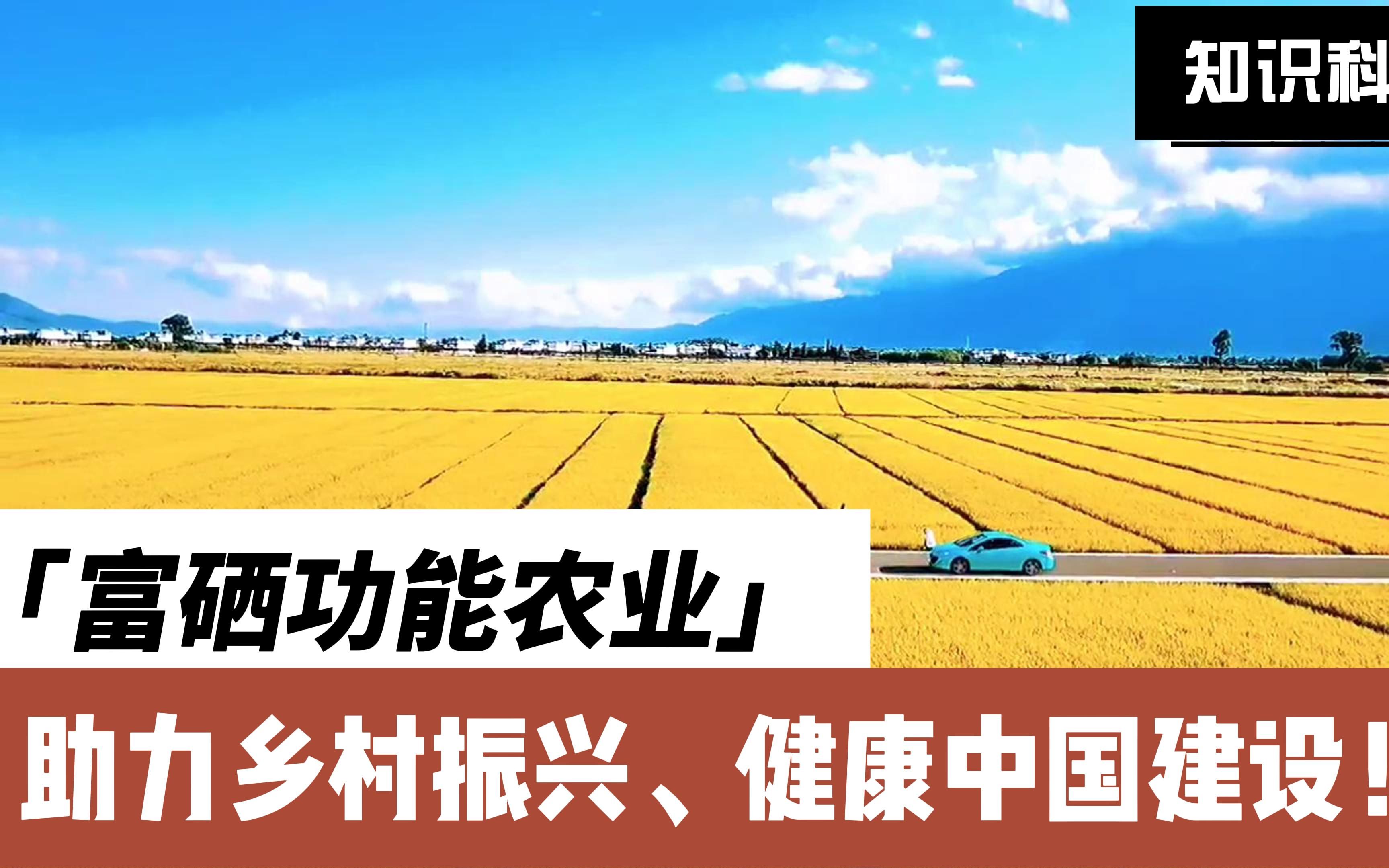 中国北方富硒农业产品