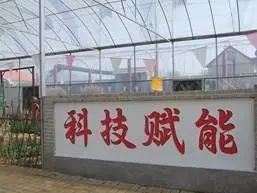 农产品富硒西红柿标准