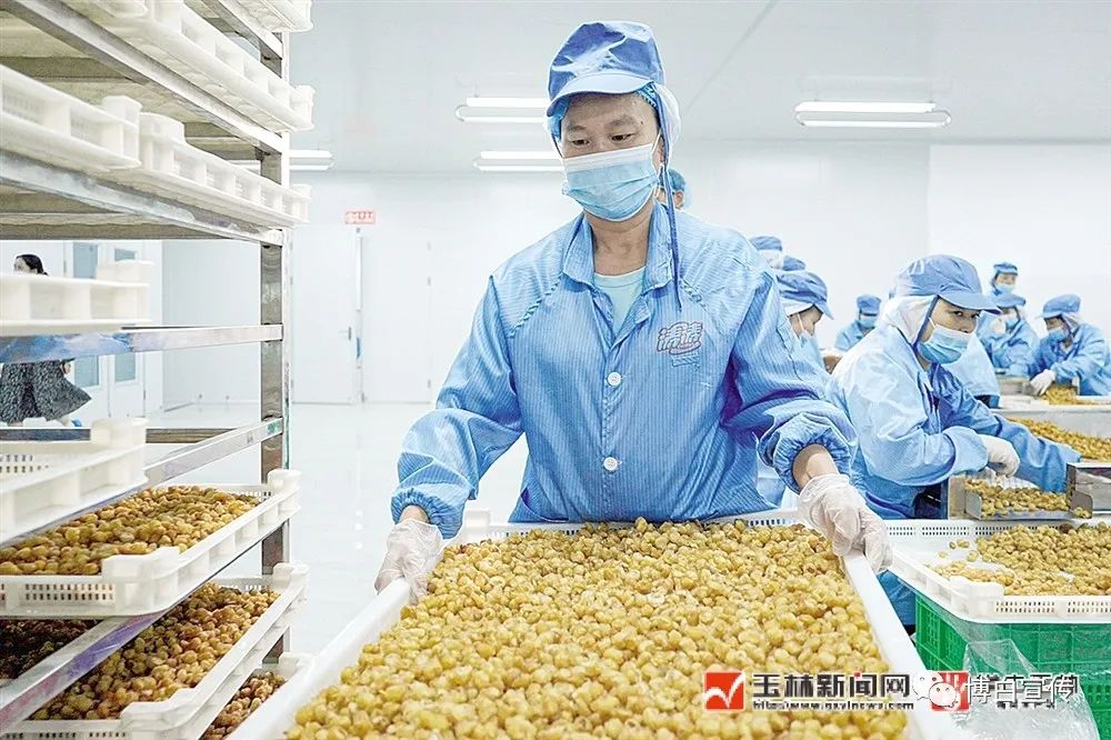 玉林富硒产品生产基地