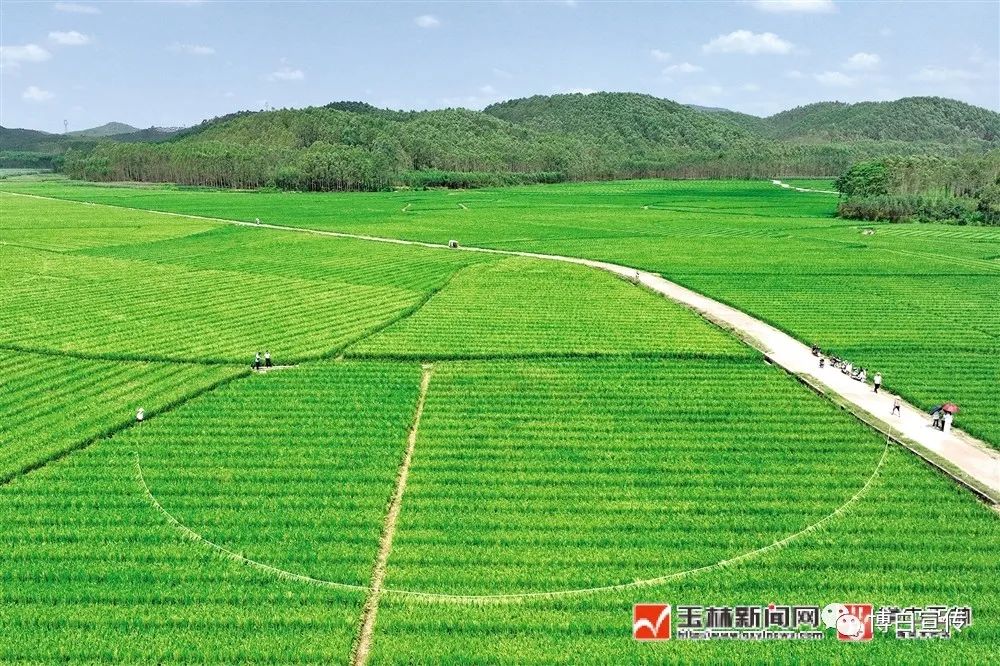 玉林富硒产品生产基地