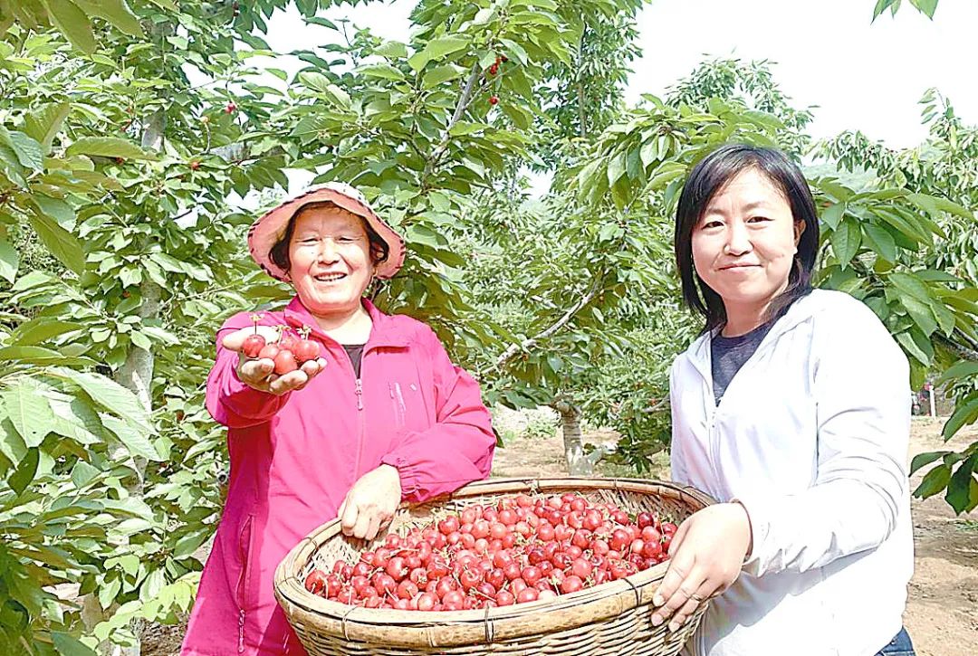 河南富硒产品种植基地