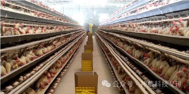 富硒产品有什么危害吗