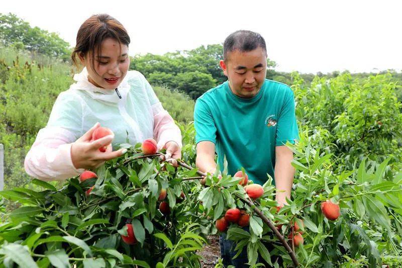 富硒产品六进活动方案