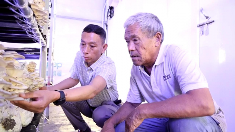 富硒电商产品有限公司