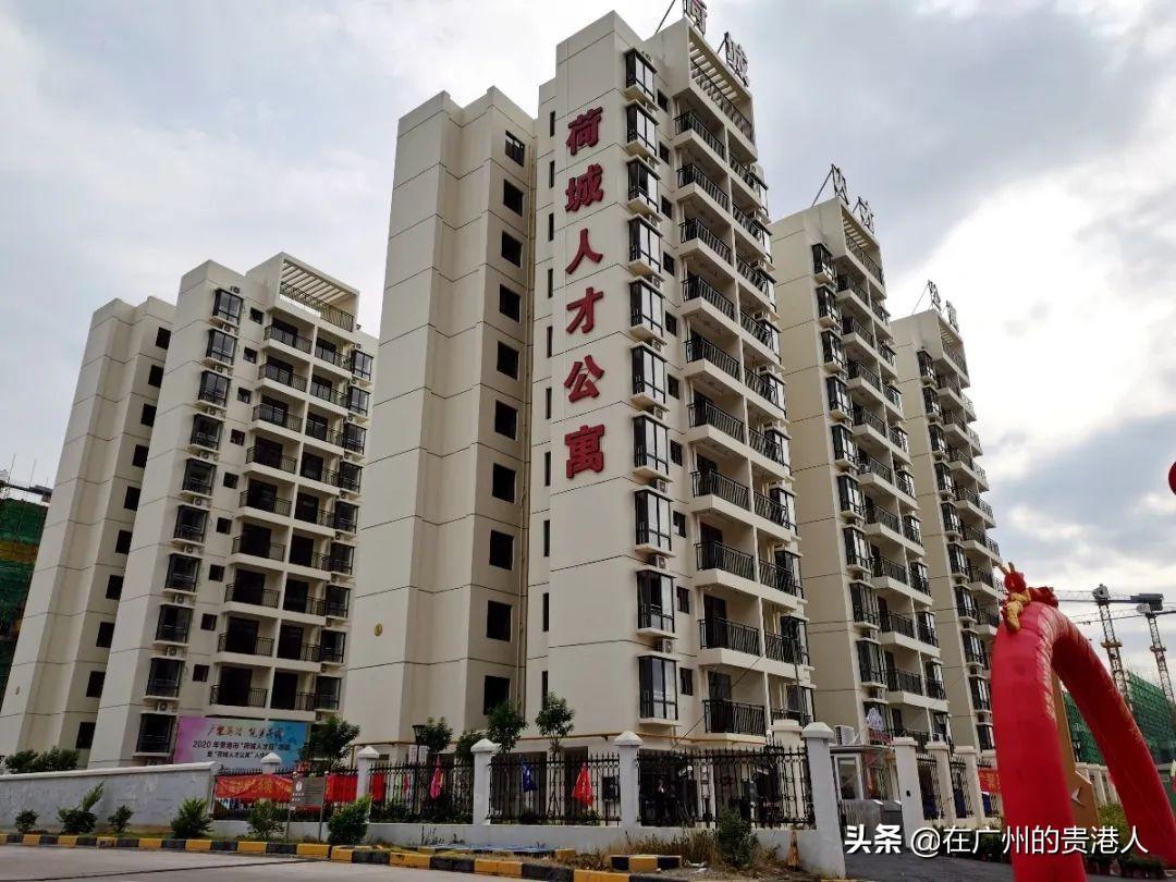中国十大富硒产品青鸟