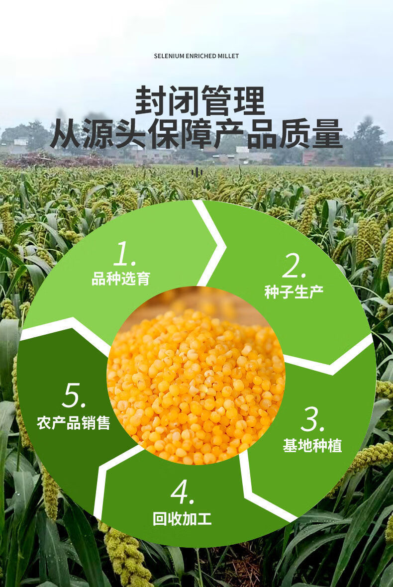 富硒小米分哪几种产品