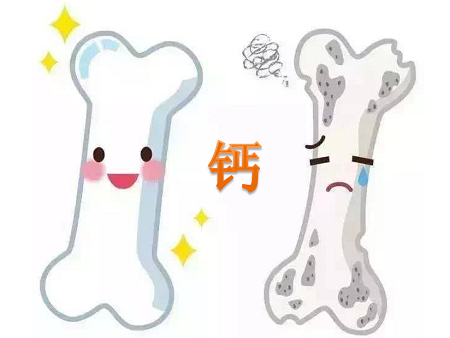 5岁儿童补钙哪种好