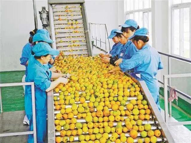 富硒农产品加工废弃物