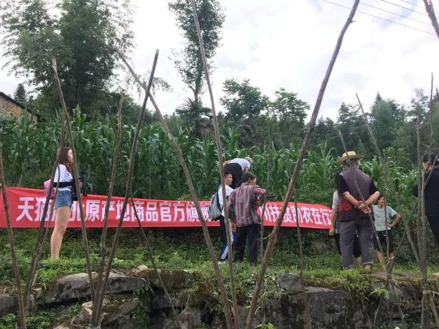 湖北利川市富硒农产品