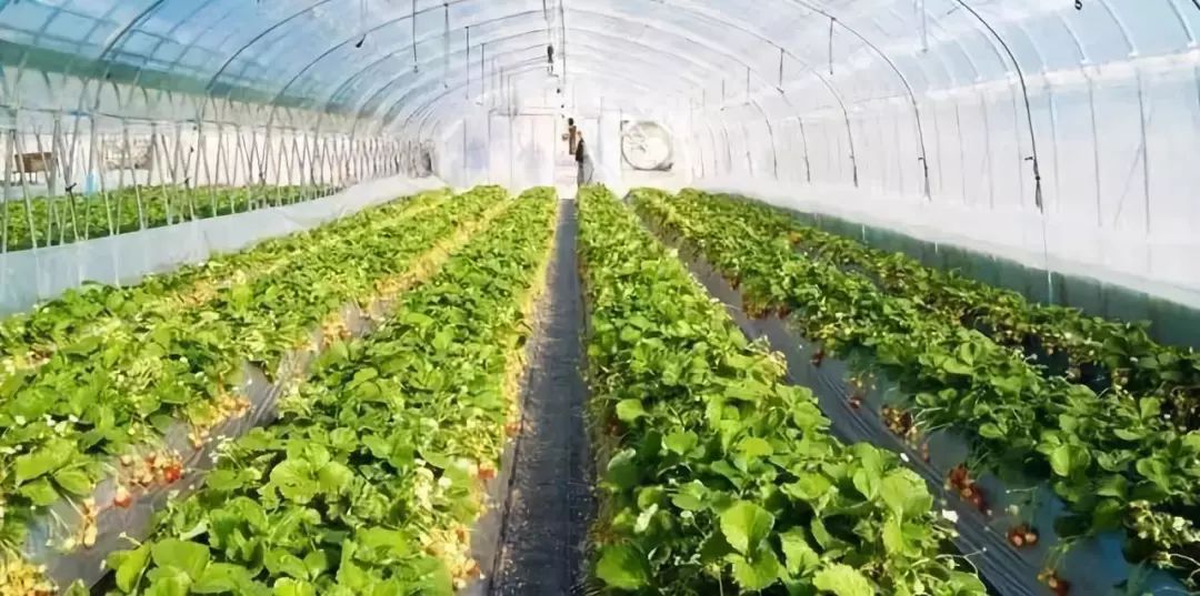 淄博市久润富硒农产品(淄川久润富硒老板)-硒宝网