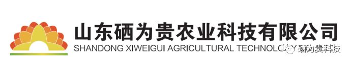 山东三旺富硒农副产品