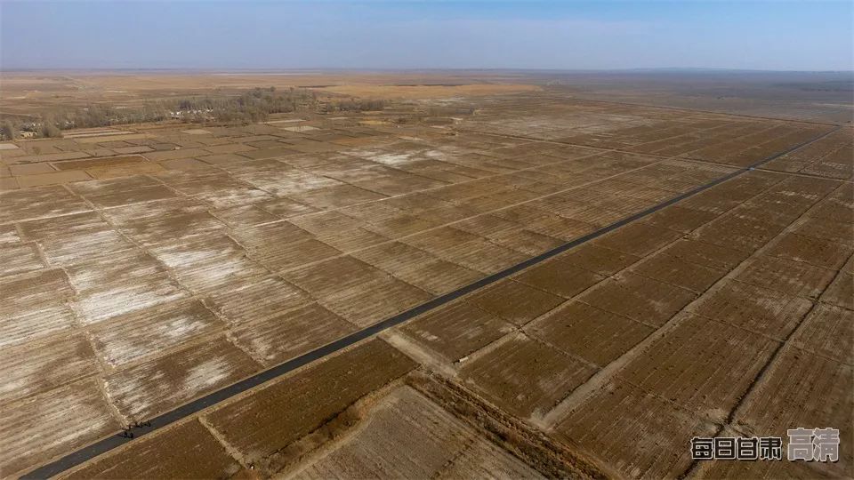 富硒的农产品加保健品