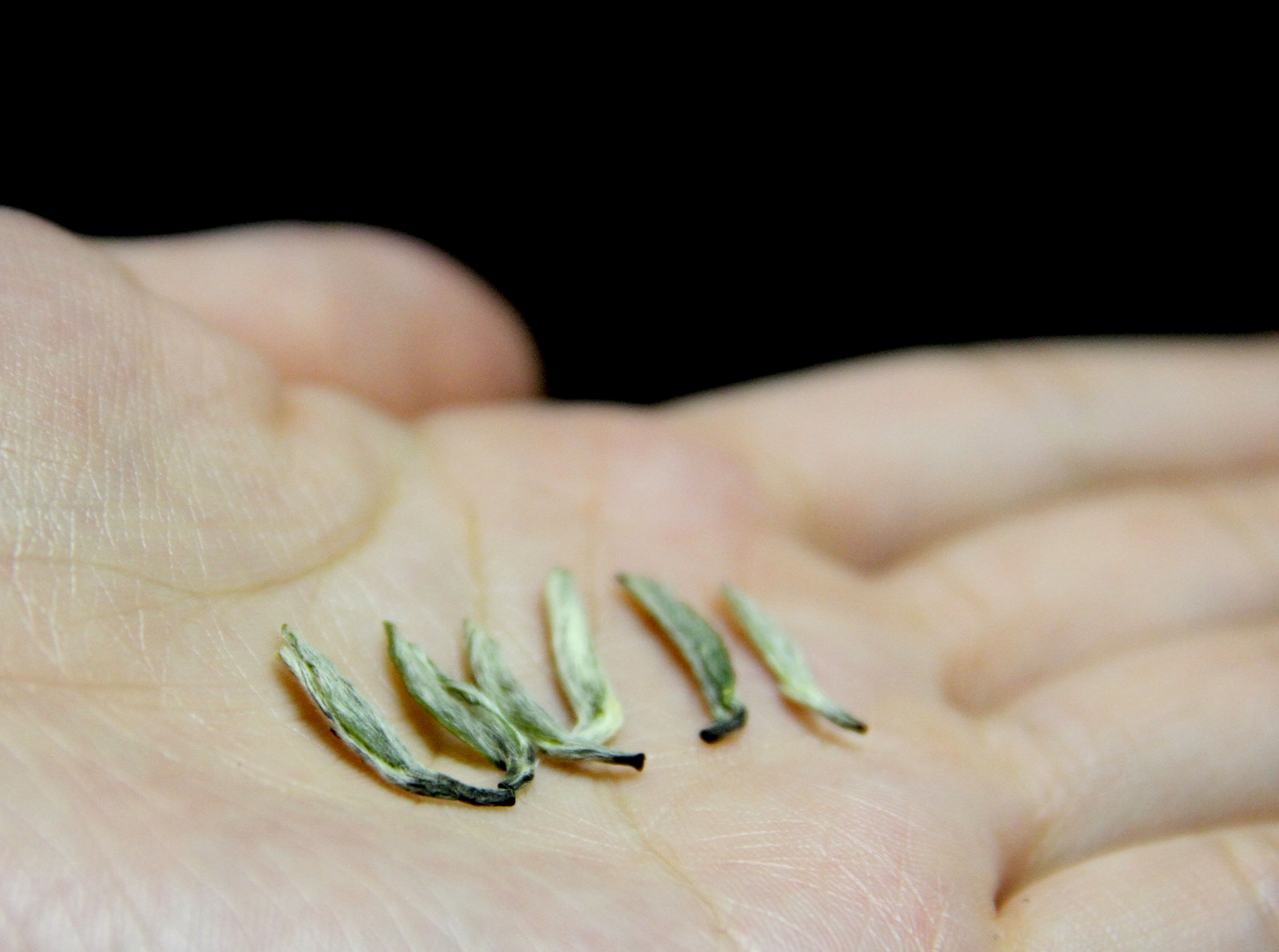 恩施醇厚的恩施富硒茶