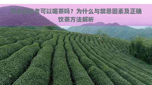 高血压患者可以喝茶吗？为什么与禁忌因素及正确饮茶方法解析