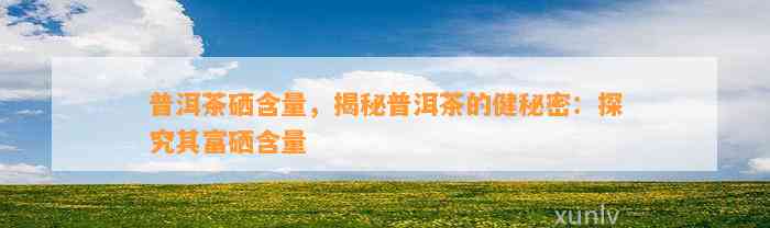 普洱茶硒含量，揭秘普洱茶的健秘密：探究其富硒含量