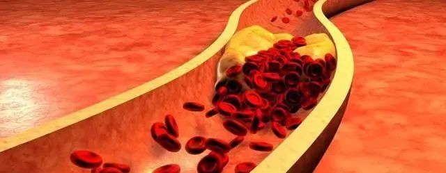 富硒茶没有标注硒含量(茶叶中硒含量)-硒宝网