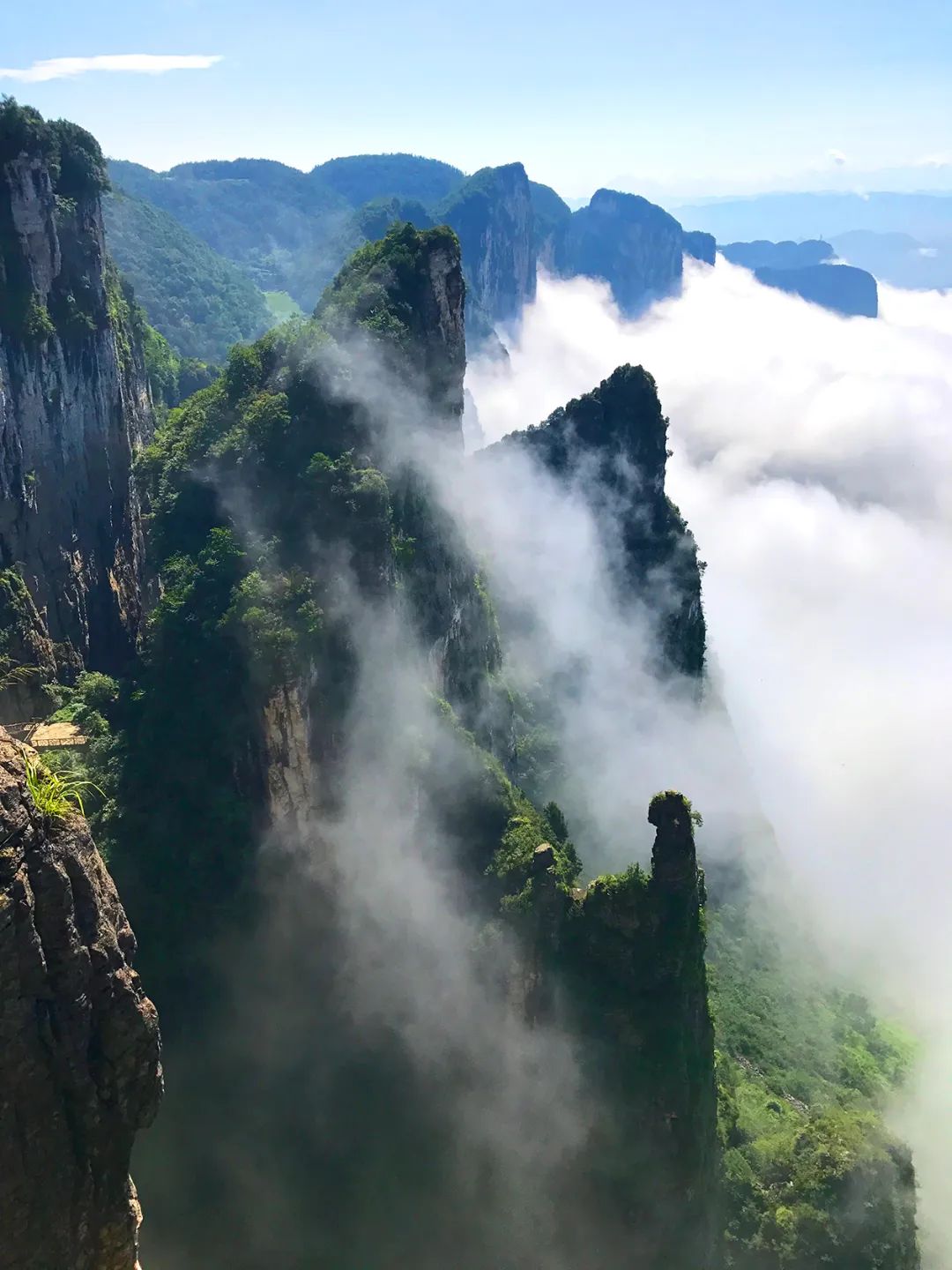 世界硒都恩施高富硒茶