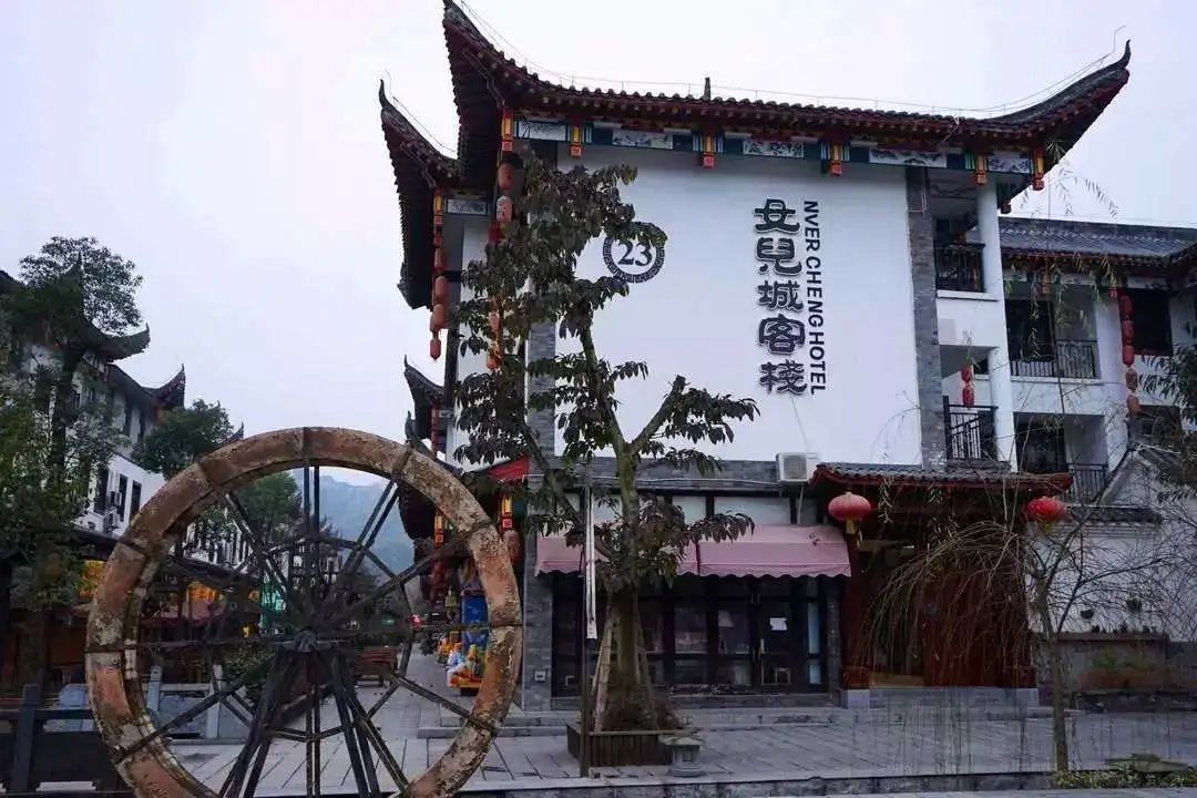 世界硒都恩施高富硒茶