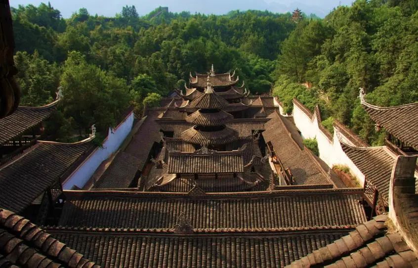世界硒都恩施高富硒茶