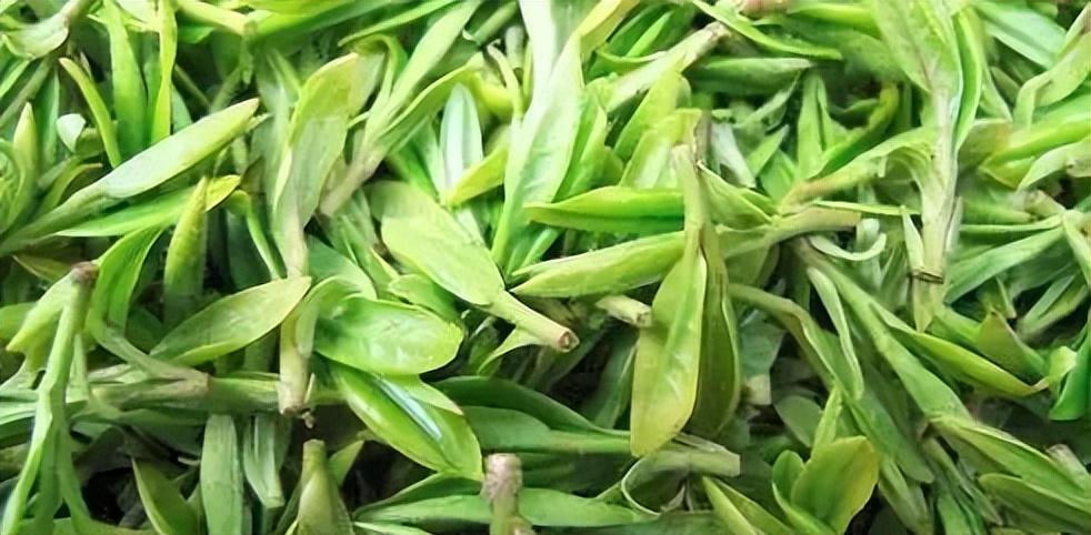 凤冈富锌富硒茶好喝吗
