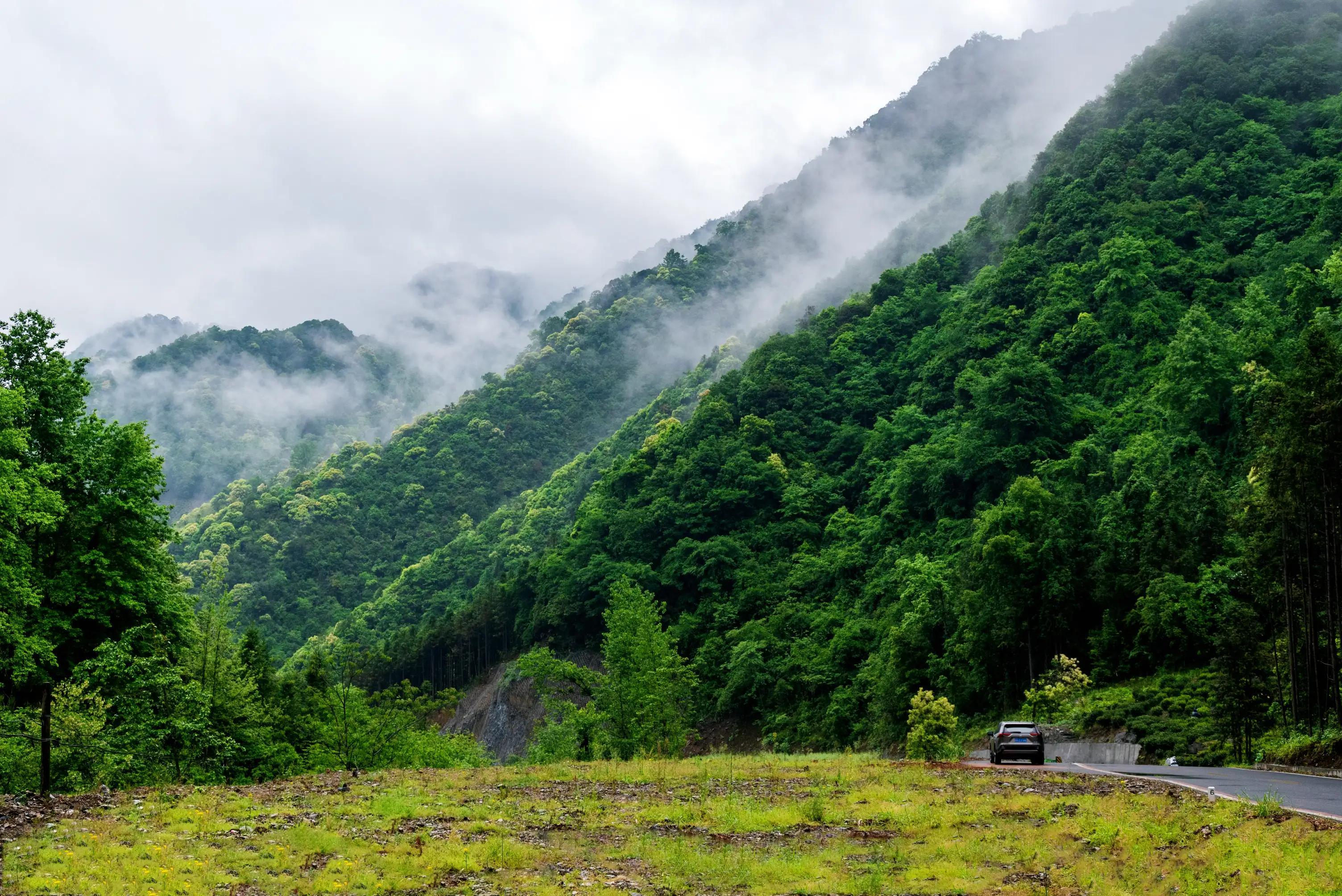 仙寓山富硒茶含硒多少