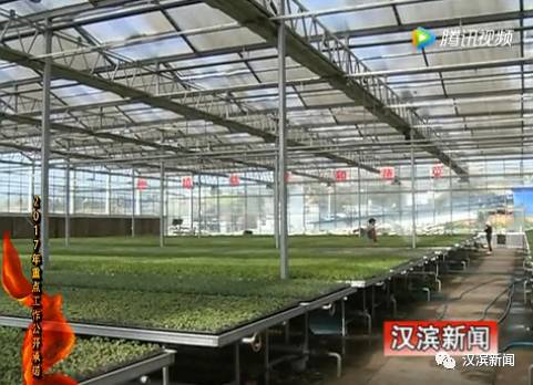 富硒茶 节能减排作用