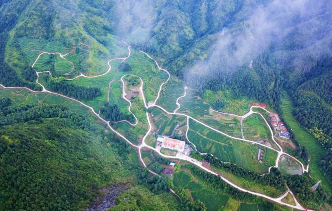 湖南郴郴州汝城富硒茶