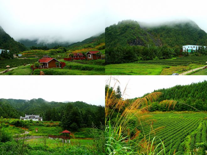 湖南郴郴州汝城富硒茶