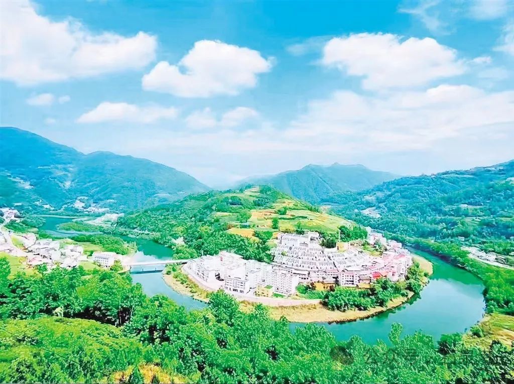 峰富硒茶种植示范基地