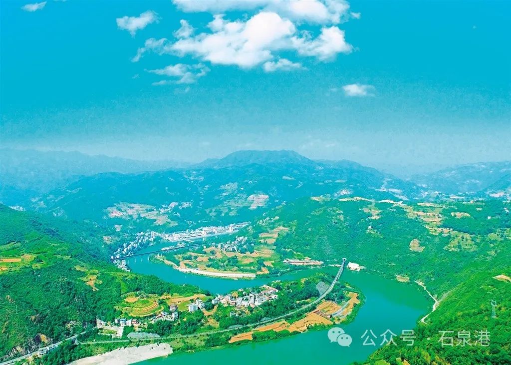 峰富硒茶种植示范基地