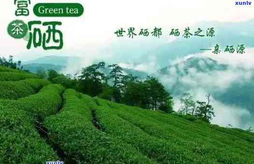 湖北恩硒茶真正的产地究竟在何处？