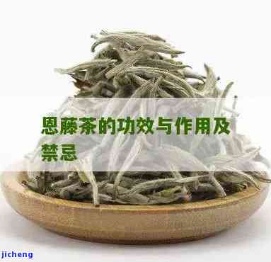 恩藤茶的作用与功效，揭示恩藤茶的神奇作用与强大功效