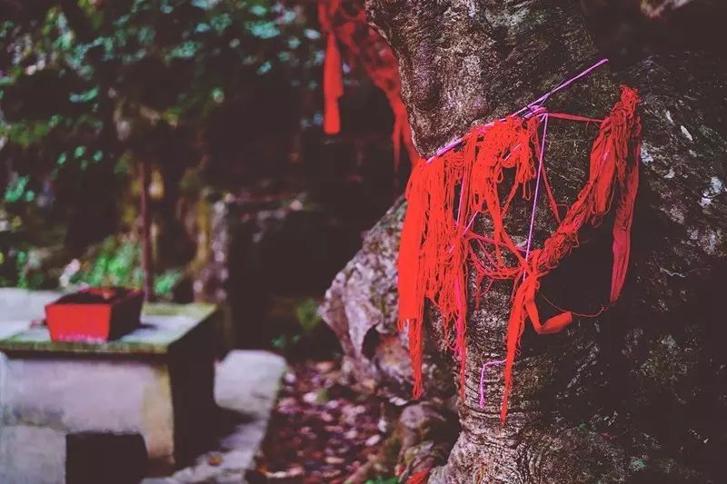 贵阳富硒茶可以减肥吗