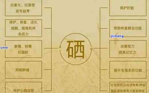 什么茶含硒丰富？哪种茶含硒最丰富？探讨茶叶中的硒含量