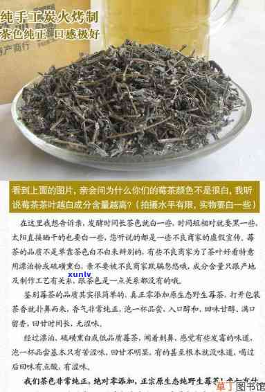 喝索玛茶对身体好吗有害吗，探讨索玛茶的健效益：对身体的影响是好还是坏？