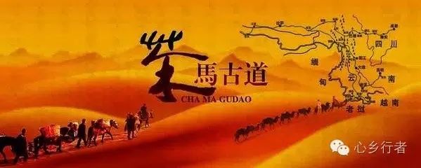 汉中炒青茶是不是富硒