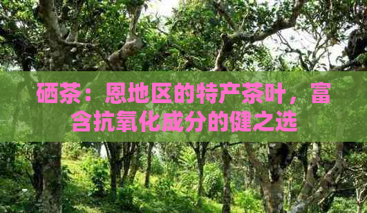 硒茶：恩地区的特产茶叶，富含抗氧化成分的健之选