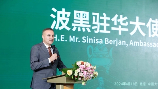 WDEF沃达福数字茶业：数字化赋能茶业创新，中国茶品牌出海迎来新机遇