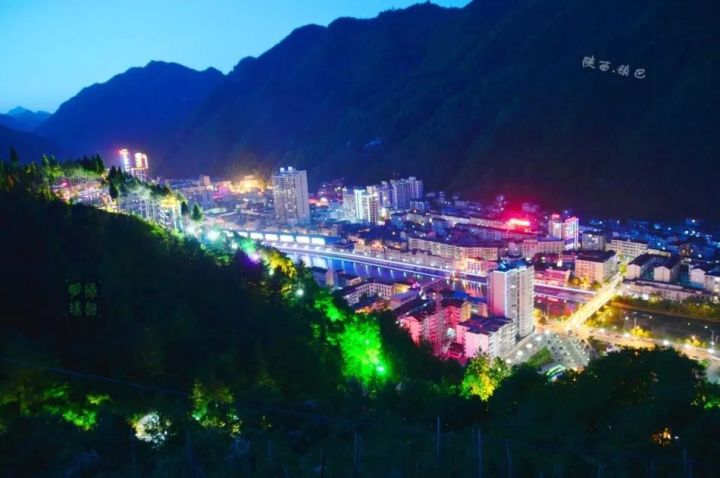 汉中红镇巴高山富硒茶