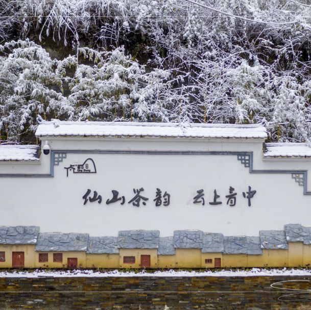 紫阳富硒茶获得的荣誉