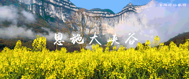 湖北醇香的恩施富硒茶