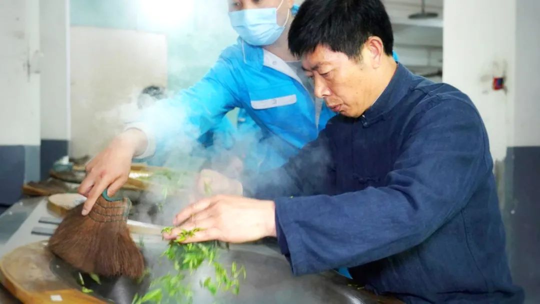新茶紫阳富硒茶的价格