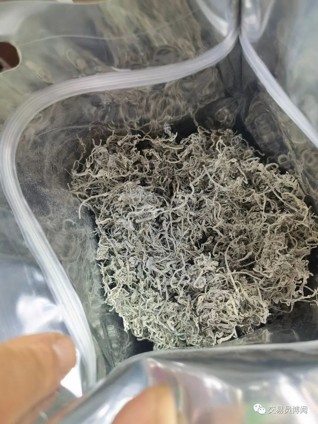 恩施富硒茶当地怎么卖
