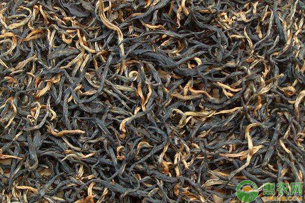 2019年红茶价格多少钱一斤？红茶的功效与作用
