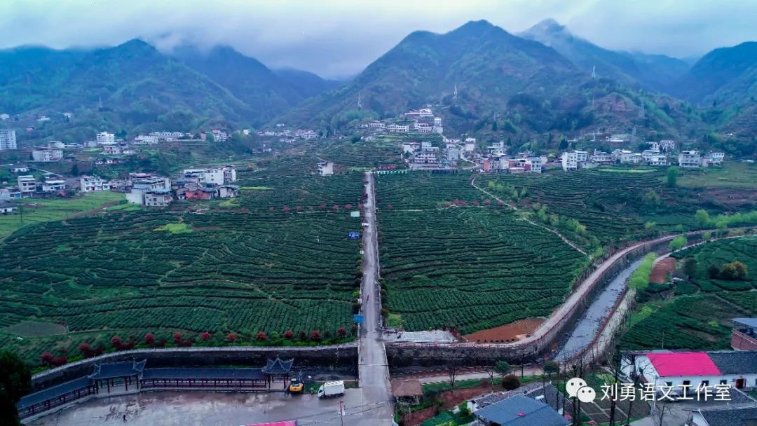 紫阳富硒茶济南哪儿卖