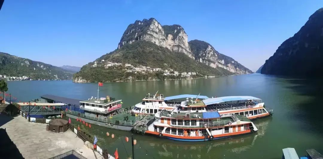 有名的恩施富硒茶价格