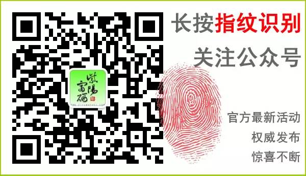 安康紫阳富硒茶观光园
