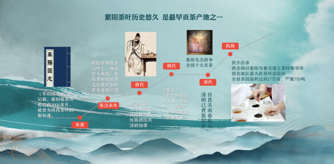 紫阳富硒茶的品质特征